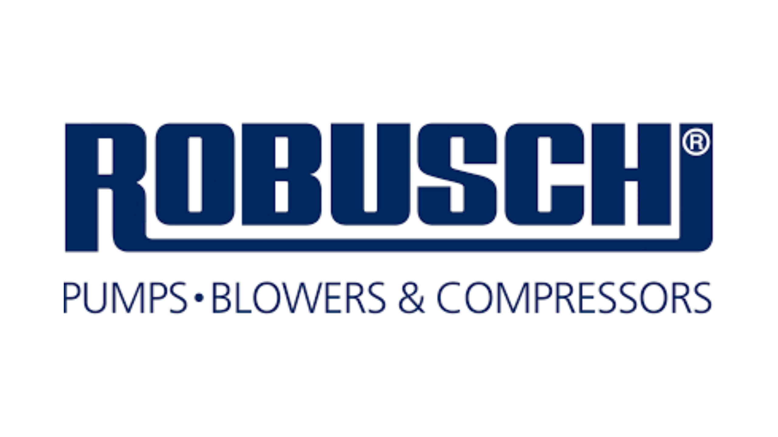 Robushi logo web